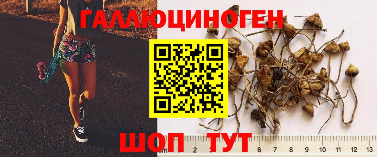 Галлюциногенные грибы мицелий  Вход с VPN  купить   Люберцы 